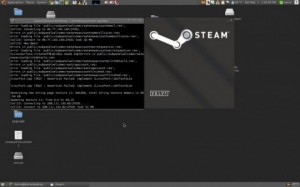 steam_for_linux-540x337