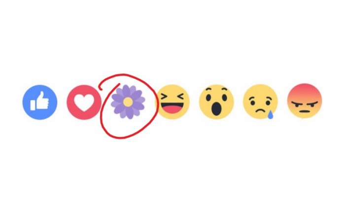 Facebook-Reactions-Mothers-Day-796x473