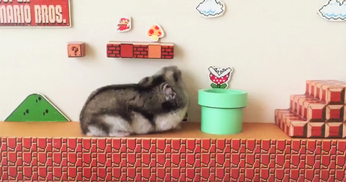 super mario