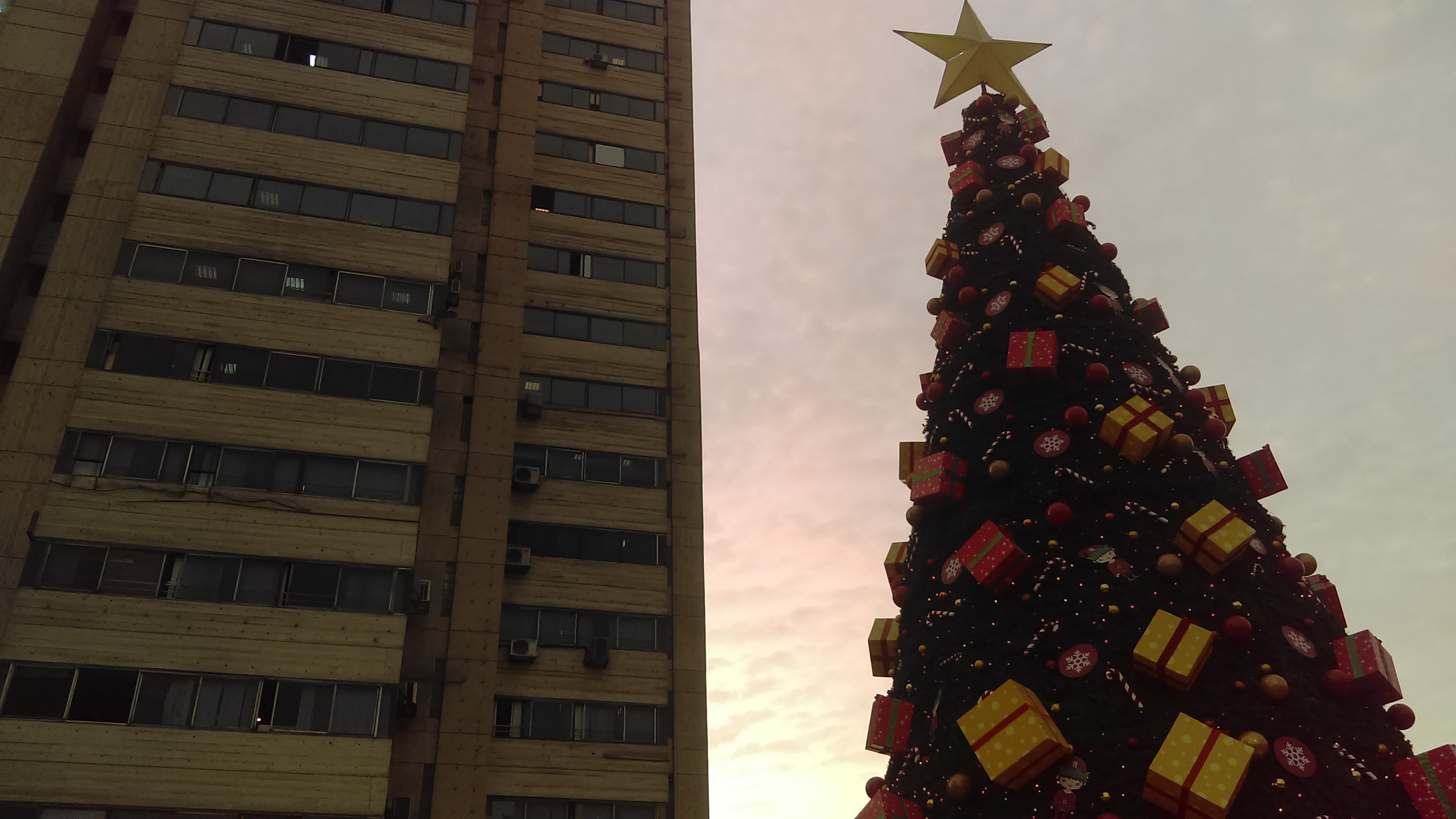 IMAG0014