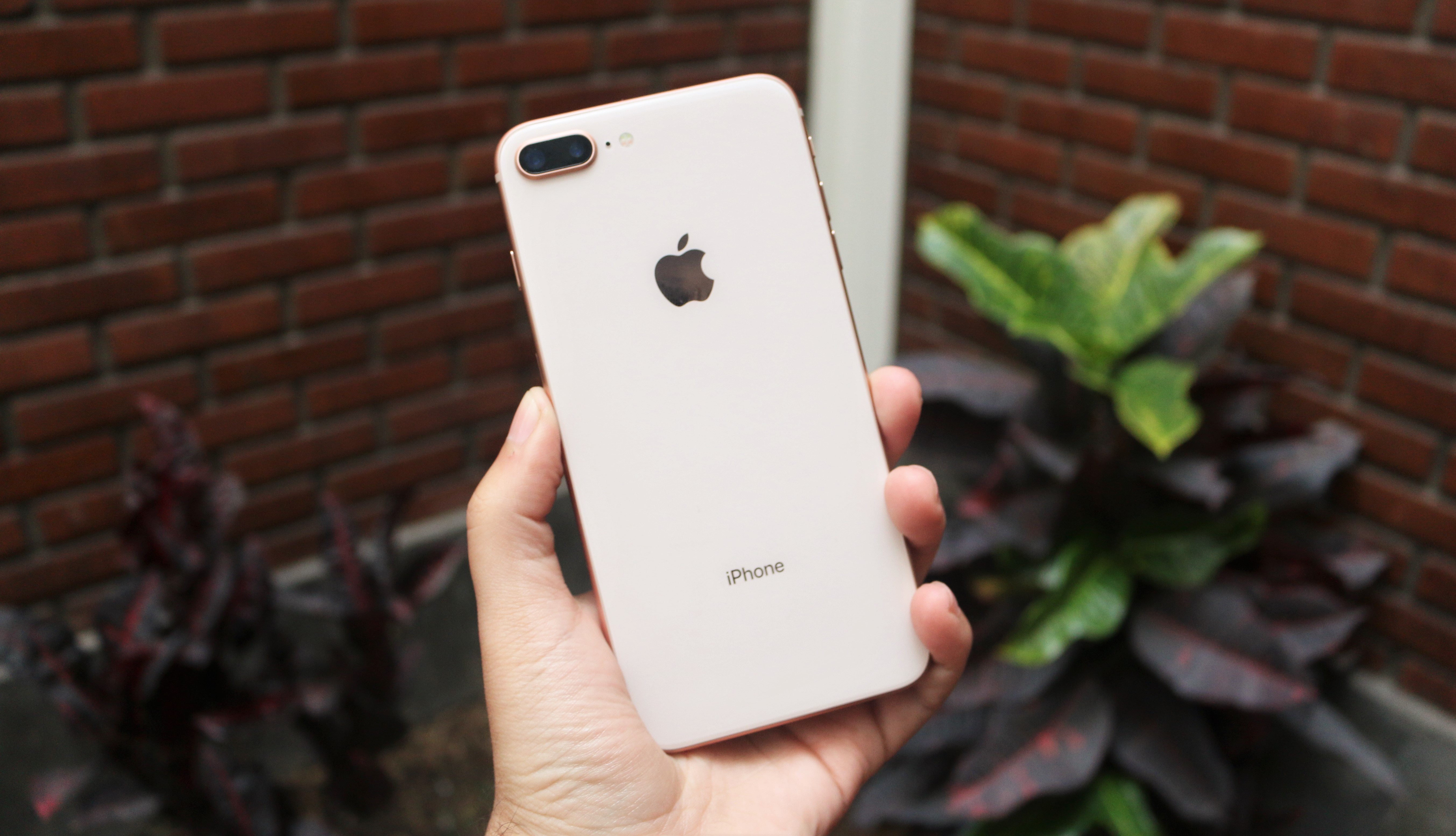 iPhonoe 8