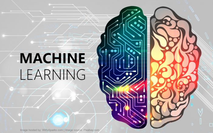 NP – Machine Learning: ¿Qué aprenden las empresas cuando las máquinas aprenden?
