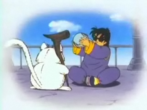Roshi y Karin