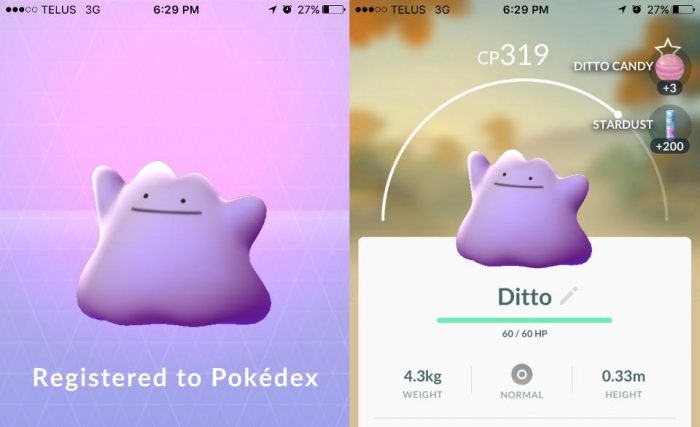 Pokémon GO: ¿Cómo atrapar a Ditto? ditto