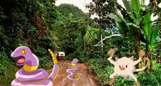 Pokemon Perú