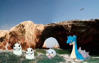 pokemon peru paracas